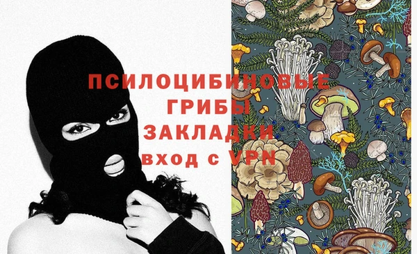 МДПВ Алексин