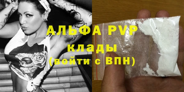 шишки Сатка